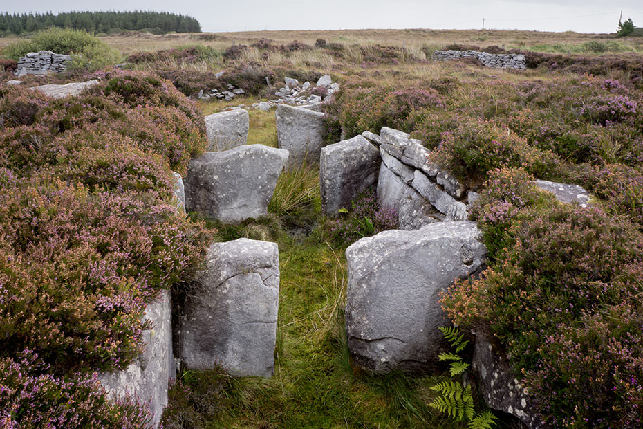 Rathlackan Court Tomb 6