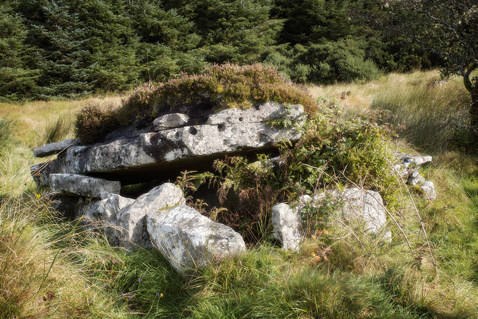 Casheltown Wedge Tomb