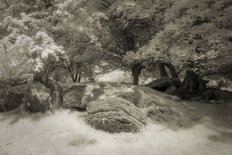 Coolbeg Wedge Tomb