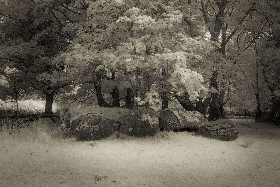 Coolbeg Wedge Tomb