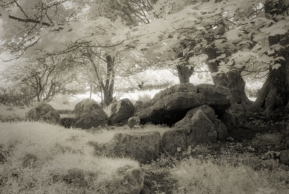 Coolbeg Wedge Tomb