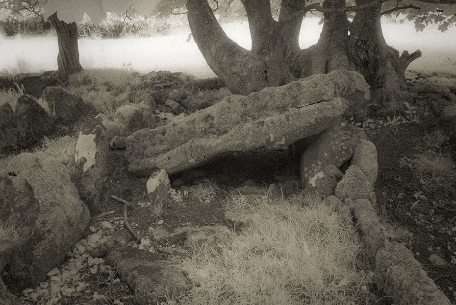 Coolbeg Wedge Tomb