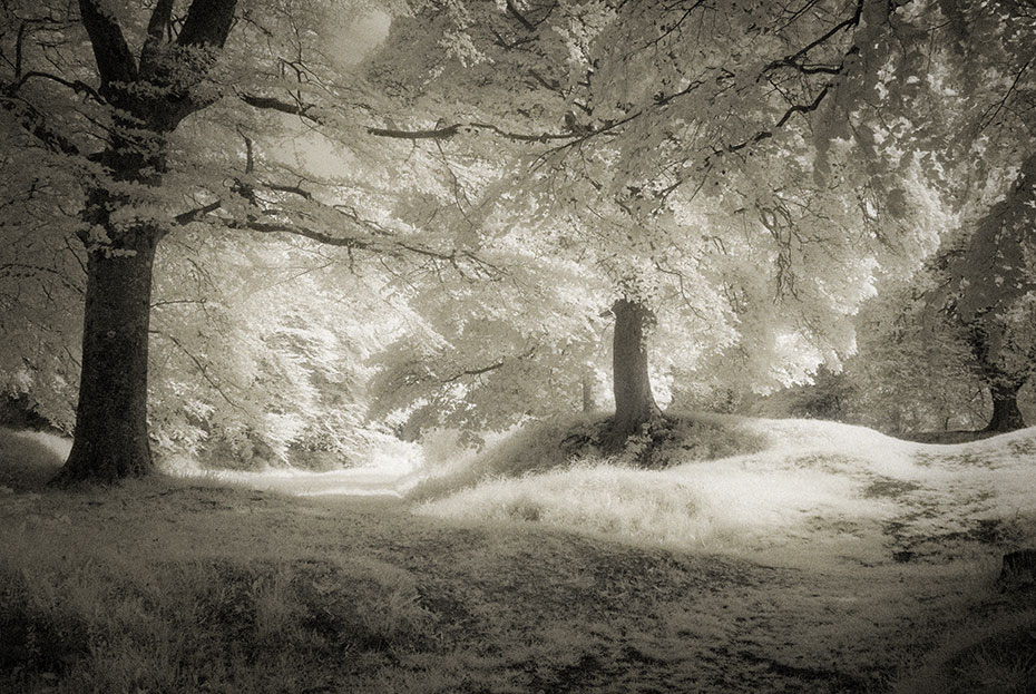 Tullyhogue Fort