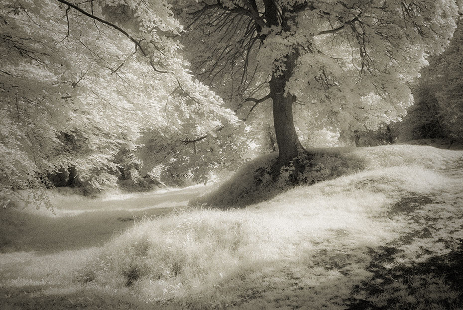 Tullyhogue Fort