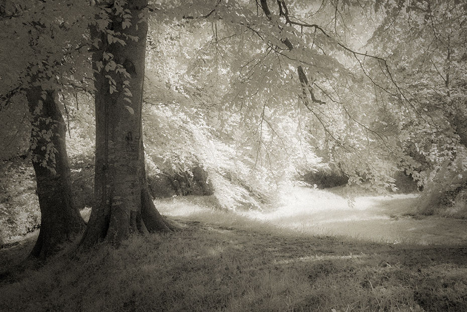 Tullyhogue Fort