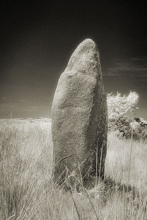 Ballard Standing Stone aka the Long Stone