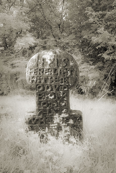 The Fiddle Stone