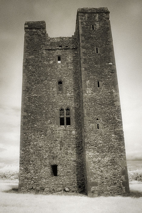 Roodstown Castle