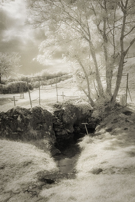 St Ciaran's Well