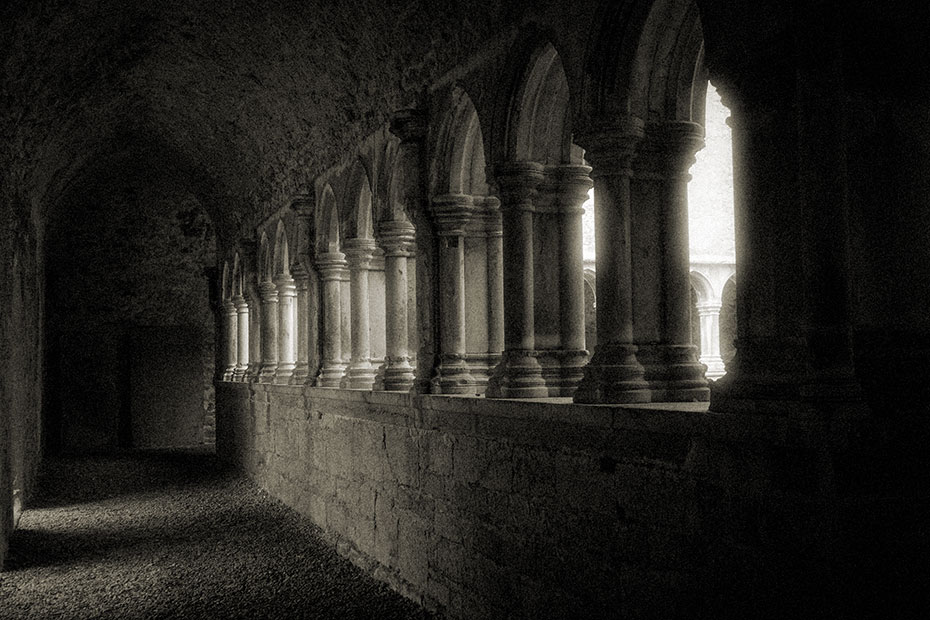 Askeaton Franciscan Friary Cloister