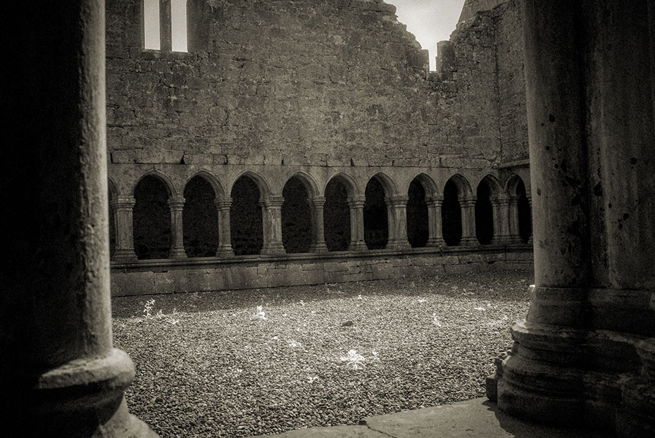 Askeaton Franciscan Friary Cloister