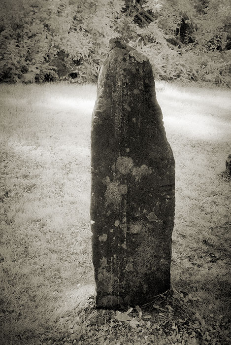 Colaiste Ide Ogham Stone