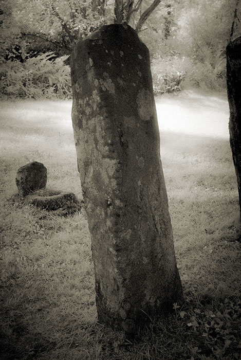 Colaiste Ide Ogham Stone