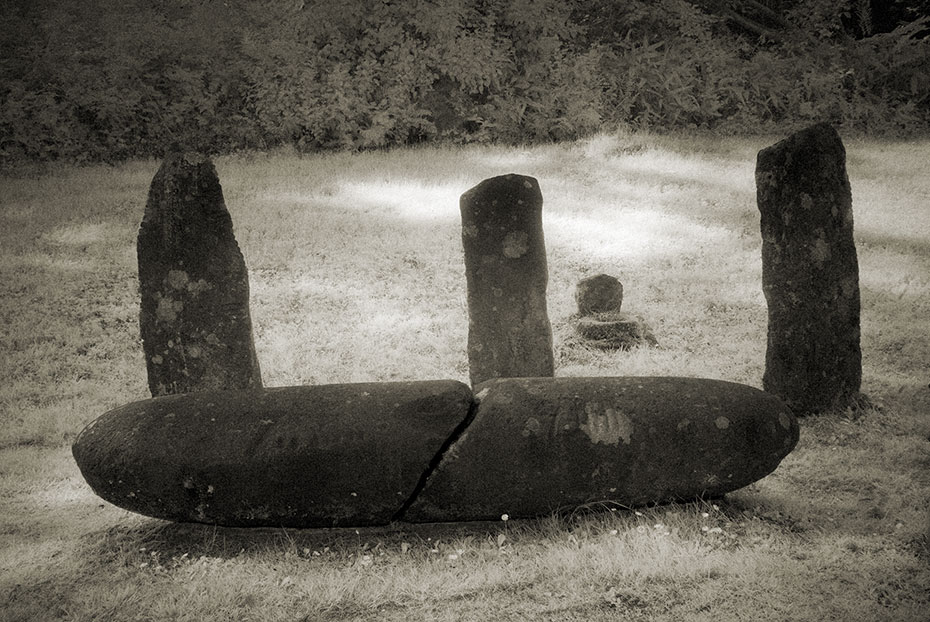 Colaiste Ide Ogham Stones