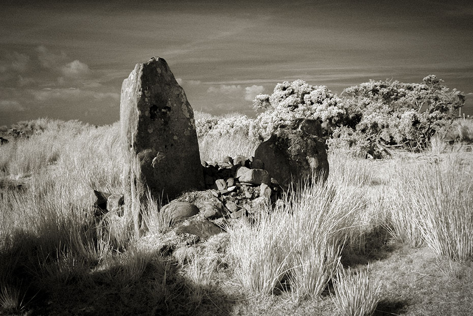 Ballymagaraghy Standing Stones