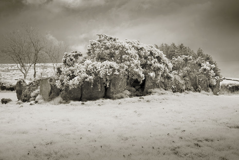 Ault (Gowkstown) Wedge Tomb