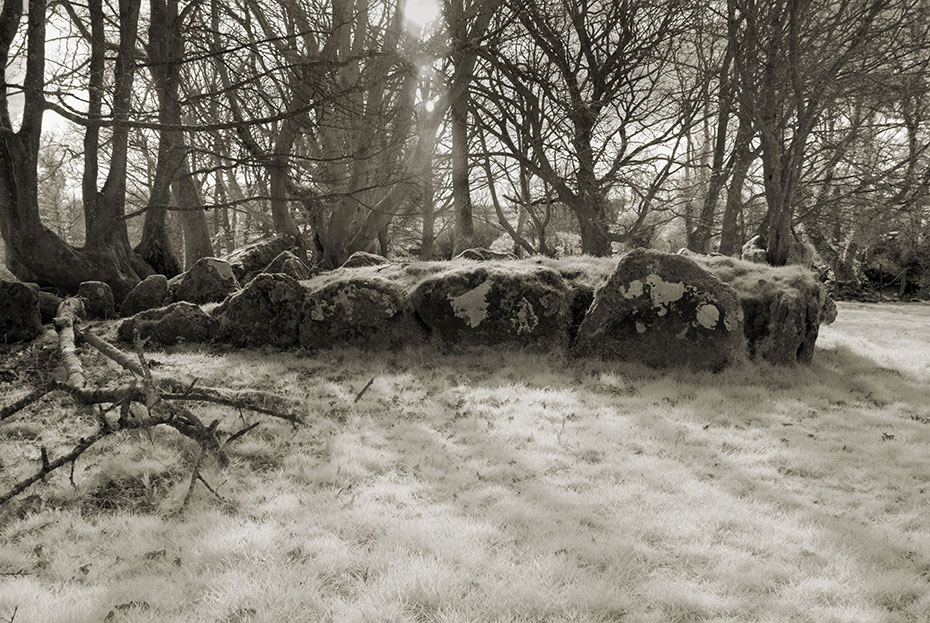 Coolbeg Wedge Tomb