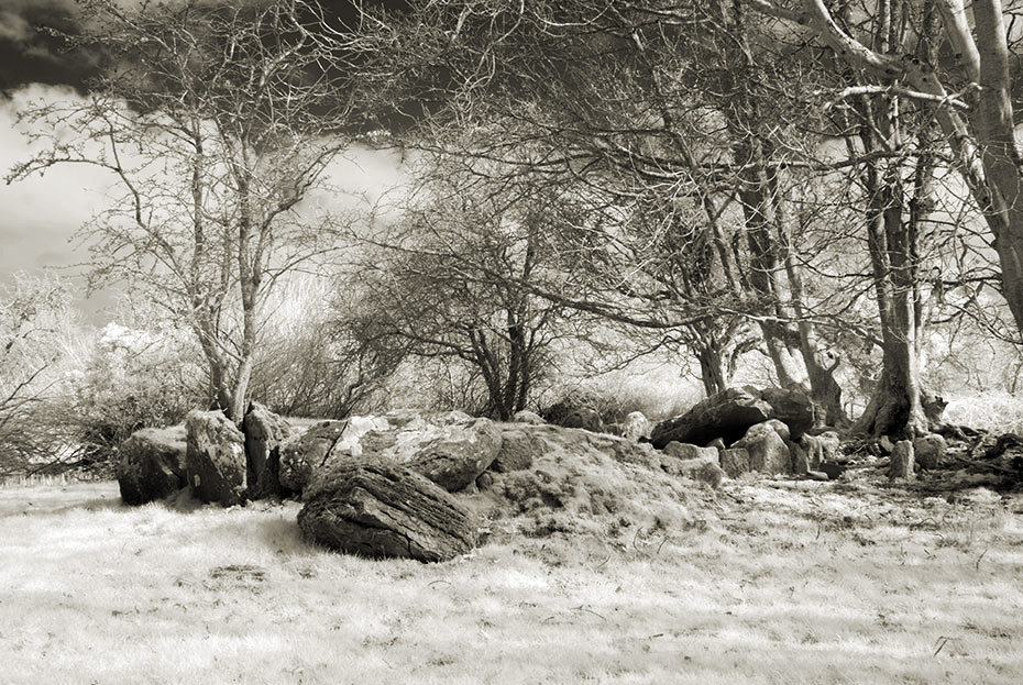 Coolbeg Wedge Tomb