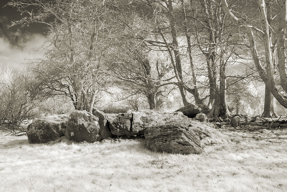 Coolbeg Wedge Tomb