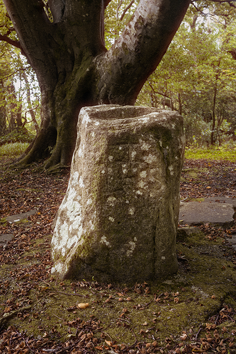 Tawly Mass Rock