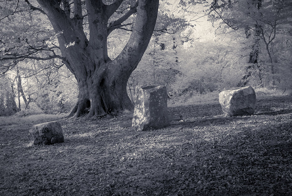 Tawly Mass Rock and Bullaun Stone