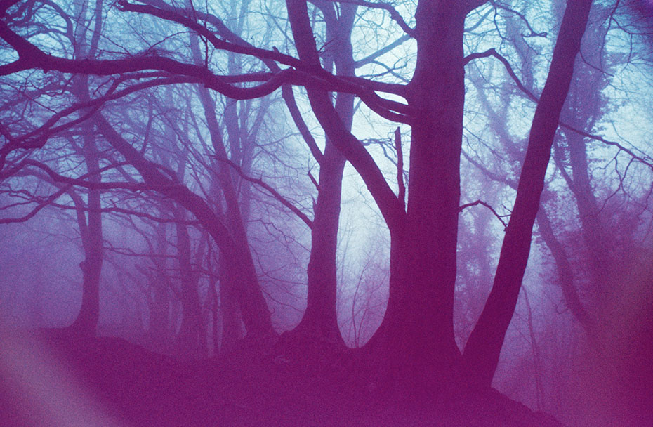 Cavehill trees photographed in colour infrared film