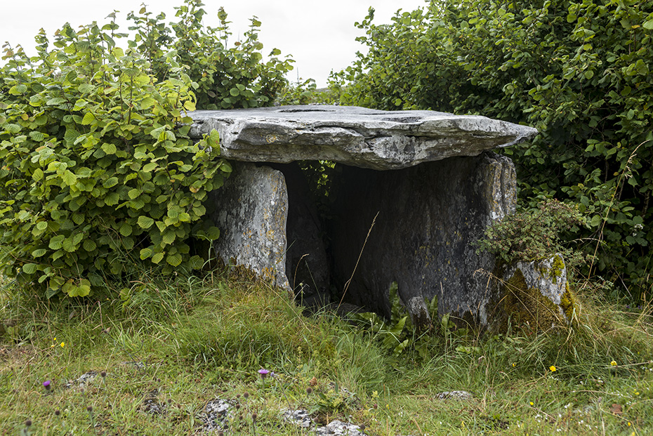 Gleninsheen Wedge Tomb - CL005-133