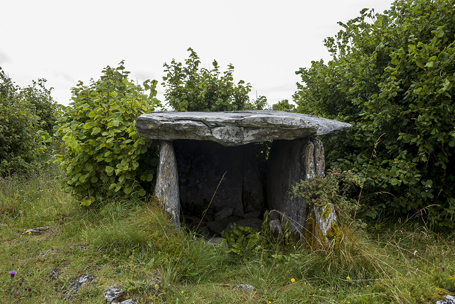 Gleninsheen Wedge Tomb - CL005-133